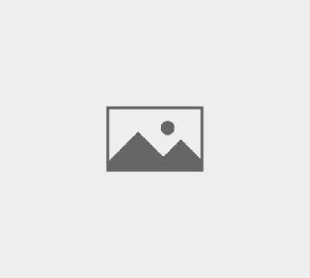 AI工具合集 建议收藏